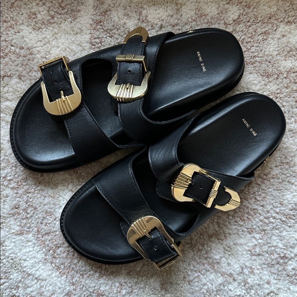 Anine Bing Waylon Slide Size 40 EUC - Picture 7 of 14